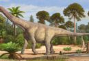 15 Meter langer Dinosaurier auf Postweg verlorengegangen