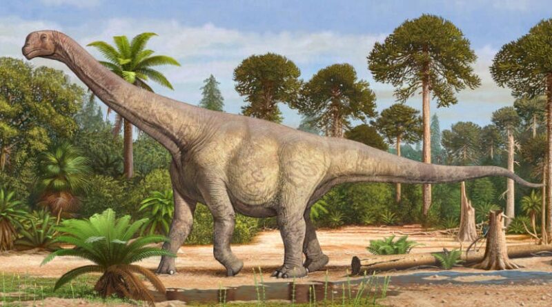 15 Meter langer Dinosaurier auf Postweg verlorengegangen