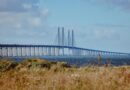 Heute in einem Jahr werden 40.000 Läufer über die Öresundbrücke von Dänemark nach Schweden laufen