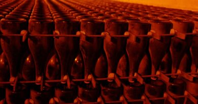 Champagner-Fund aus dem 19. Jahrhundert auf dem Meeresgrund der Ostsee könnte als Kulturerbe eingestuft werden