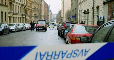 Mord Kriminalität in Schweden