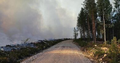 Waldbrand in Lappland