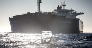 Greenpeace Protest 2