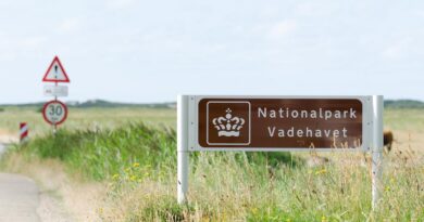 Nationalpark Vadehavet Wattenmeer