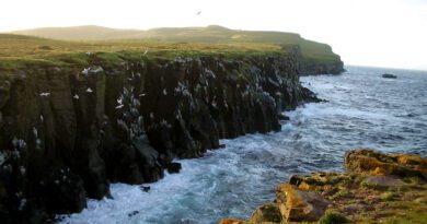 Grimsey Insel