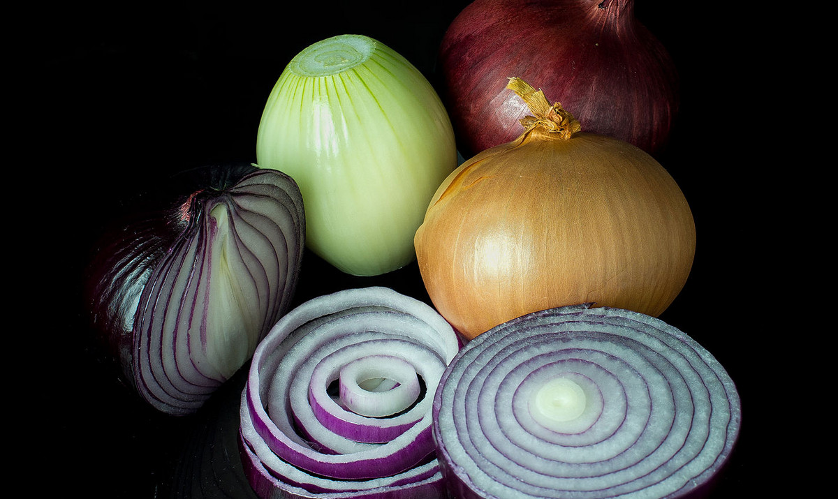 Startup researches climate-friendly packaging: made from onions