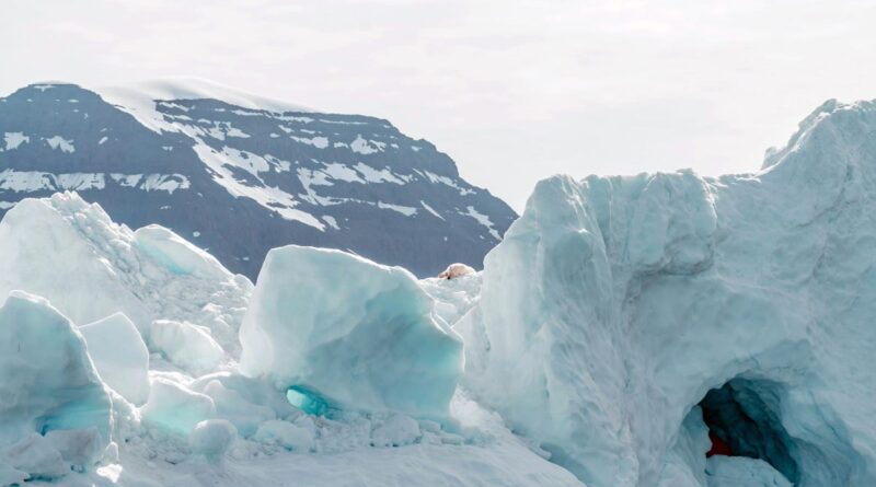 Arktis Klimawandel