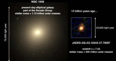 Wie entsteht eine Galaxie?