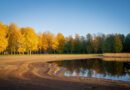 Folgen des Klimawandels in Nordkarelien deutlich bemerkbar