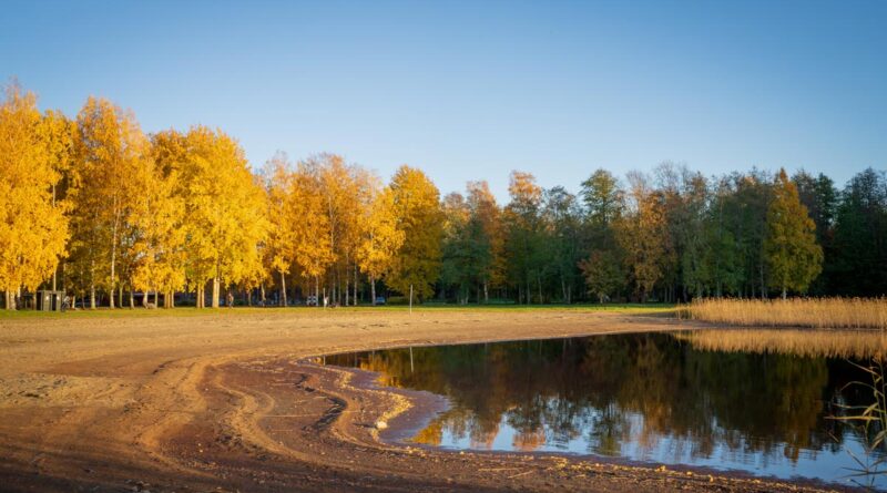 Klimawandel in Karelien Linnunlahti