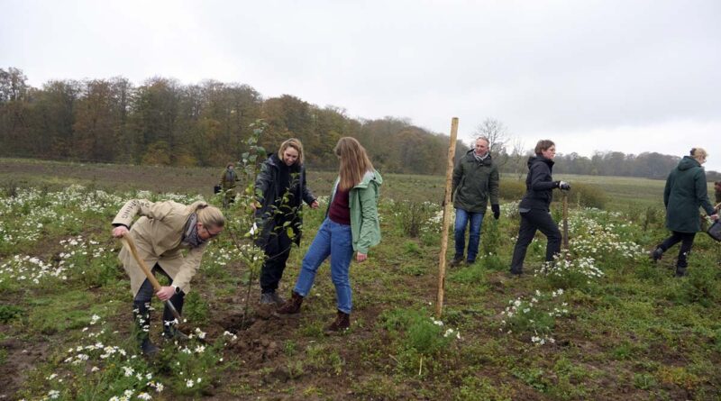 Klimawald Kolding