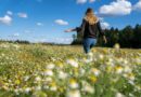 Der September in Finnland war ungewöhnlich warm