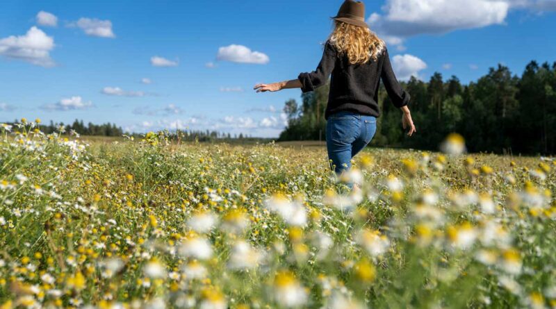 Klimawandel Finnland