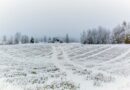 Diese Woche Schnee in ganz Finnland erwartet