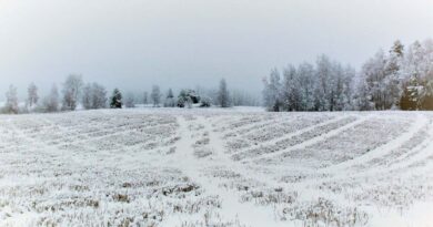 Diese Woche Schnee in ganz Finnland erwartet