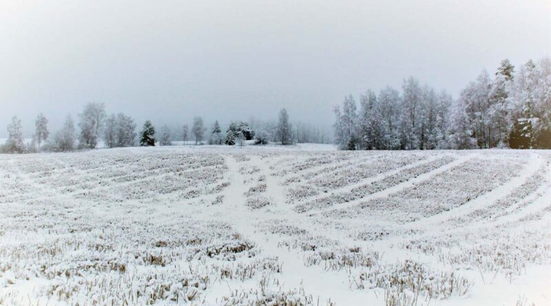 Schnee Finnland Wetter