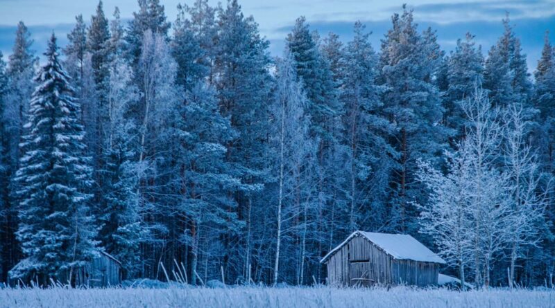 Stimmungsbild Zukunft Finnland