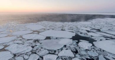 Klimaforscher in großer Sorge über Veränderung der Barentssee