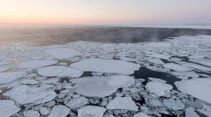 Klimaforscher in großer Sorge über Veränderung der Barentssee