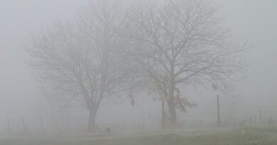 Nebel England