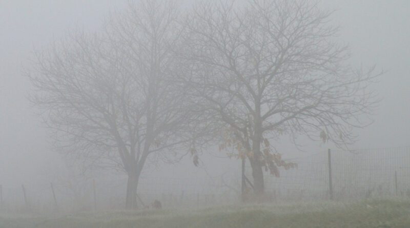 Nebel England