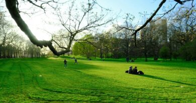 Natur verlängert Leben, verbessert Gesundheit