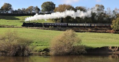 Severn Valley Railway: Umbruch für langfristiges Überleben