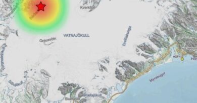 Anzeichen für möglichen Ausbruch: Vulkan Bárðarbunga bebt erneut