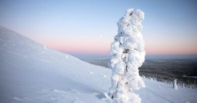 TemperaturLappland Winter