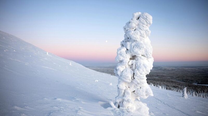 TemperaturLappland  Winter