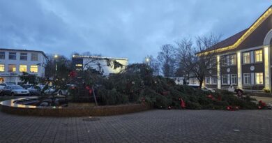 Weihnachtsbaum Klaipeda