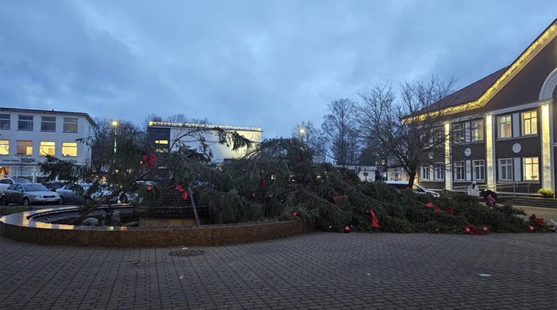 Weihnachtsbaum  Klaipeda