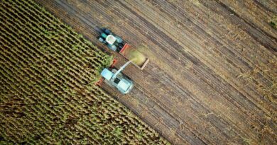 Hoffnung für viele Landwirte: Neuer biologischer Mechanismus könnte Düngemittel ersetzen