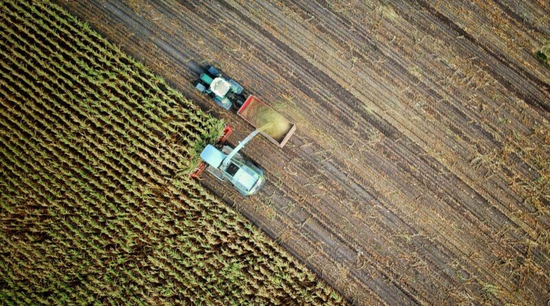 Hoffnung für viele Landwirte: Neuer biologischer Mechanismus könnte Düngemittel ersetzen