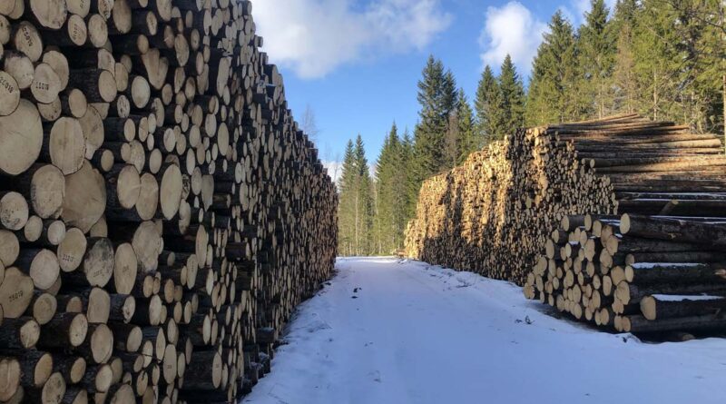 Holzwirtschaft Norwegen