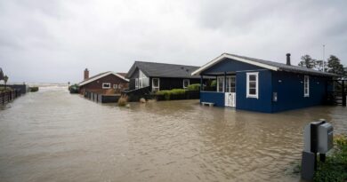 Experten fordern eine Kennzeichnung des Hochwasserrisikos für Immobilien