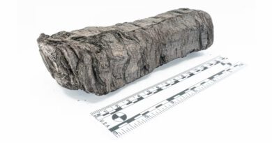 „Unglaublicher Moment“: Antike Schriftrolle nach 2.000 Jahren entziffert