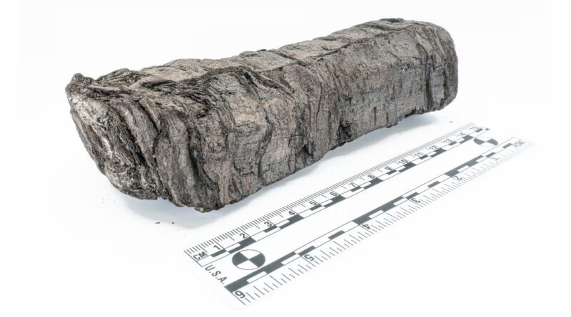 „Unglaublicher Moment“: Antike Schriftrolle nach 2.000 Jahren entziffert