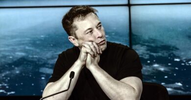 Elon Musk verbreitet Falschbehauptung über Schießerei in Schweden